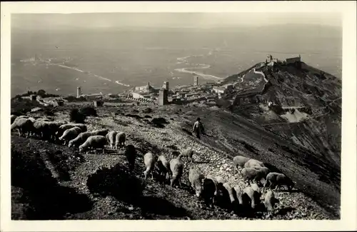 Ak Assisi Umbria, Panorama dal Monte S. Rutino, Schafherde