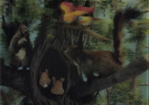 3-D Ak Eichhörnchen mit Jungen, Baumhöhle, Vögel