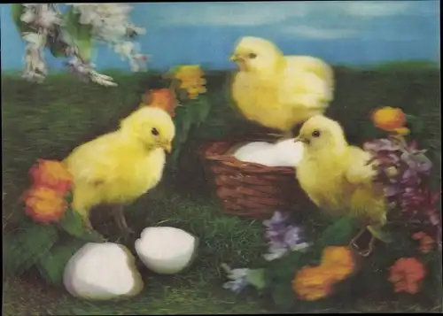 3D Ak Glückwunsch Ostern, Küken, Eierschale