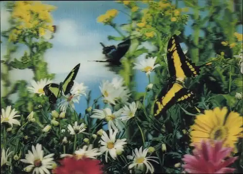 3 D Ak Schmetterlinge, Blumenwiese