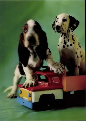 3 D Ak Puppies and a Toy Truck, zwei Hundewelpen und ein Spielzeuglaster, Beagle, Dalmatiner