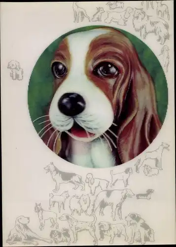 3 D Ak Beagle, Hundeportrait, Hunderassen, Collie, Bulldogge, Zwinkern