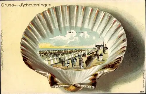 Muschel Litho Scheveningen Den Haag Südholland, Strand