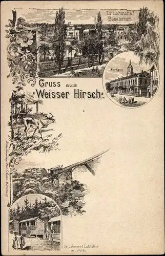 Litho Dresden Weißer Hirsch, Dr. Lahmann's Sanatorium, Kurhaus, Lufthütten im Walde