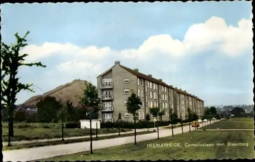 Ak Heerlerheide Limburg Niederlande, Corneliuslaan met Steenberg