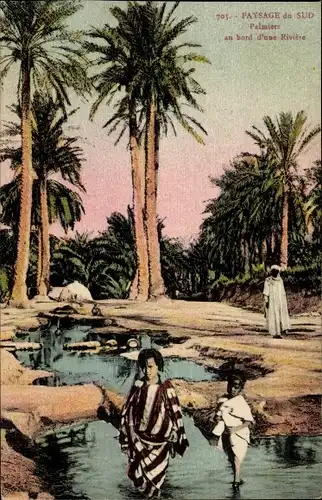 Ak Tunesien, Paysage du Sud, Palmiers au bord d'une Riviere