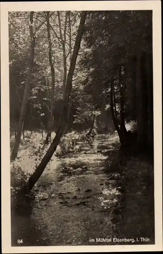 Ak Eisenberg in Thüringen, Partie im Mühltal