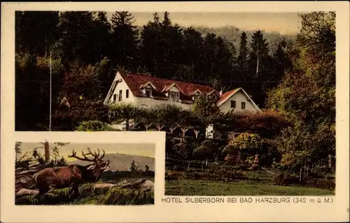 Ak Bad Harzburg am Harz, Hotel Silberborn, Hirsch