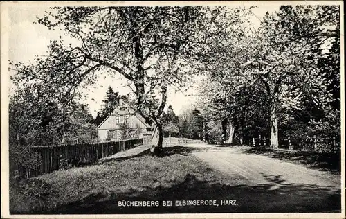 Ak Elbingerode Oberharz am Brocken, Büchenberg