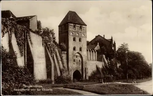 Ak Tangermünde in Sachsen Anhalt, Rosspforte von der Elbseite aus