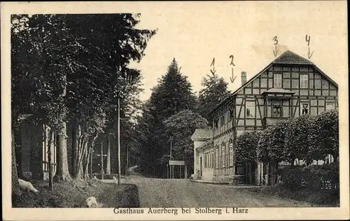 Ak Stolberg im Harz, Gasthaus Auerberg