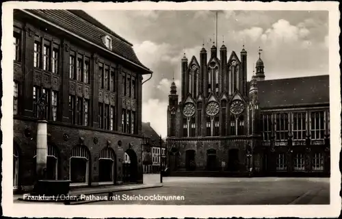 Ak Frankfurt an der Oder, Rathaus mit Steinbockbrunnen