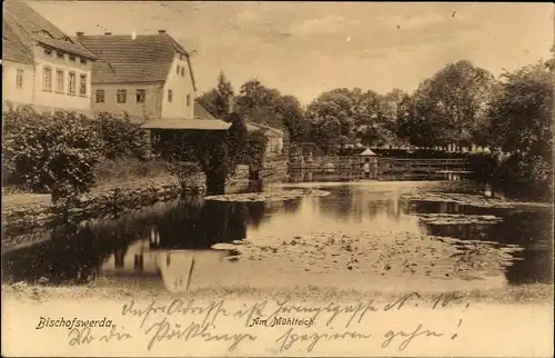 Ak Bischofswerda im Kreis Bautzen, Am Mühlteich