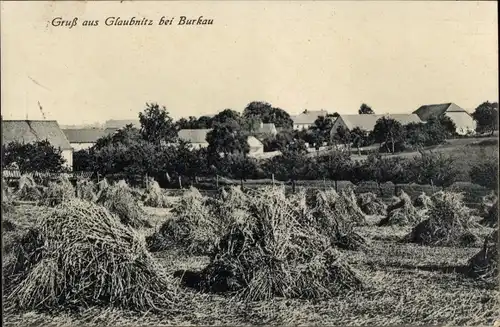 Ak Glaubnitz bei Burkau in Sachsen, Teilansicht, Feld, Heuhaufen