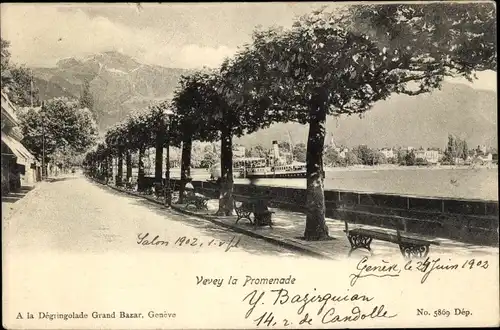 Ak Vevey Kanton Waadt, la Promenade
