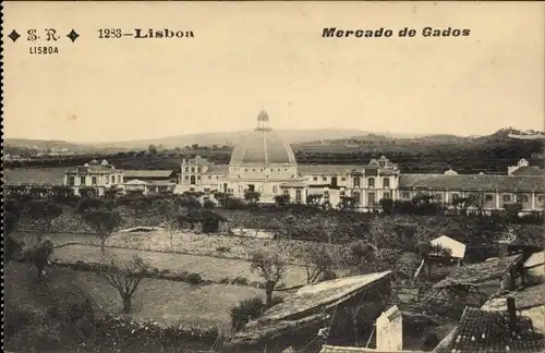 Ak Lisboa Lissabon Portugal, Mercado de Gados