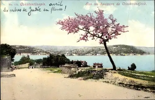 Ak Konstantinopel Istanbul Türkei, Sur les hauteurs de Couskoundjouk