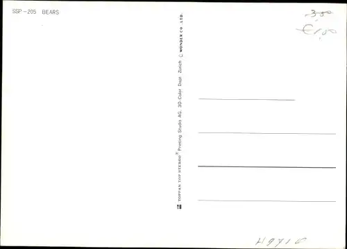 3-D Ak Bears, Zwei Bären