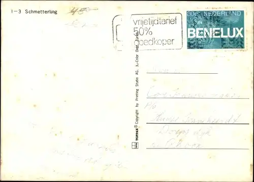 3-D Ak Blaue Schmetterlinge, Bromelien