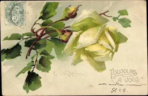 Präge Künstler Litho Klein, C., Blühende Rose, Toujours a vous