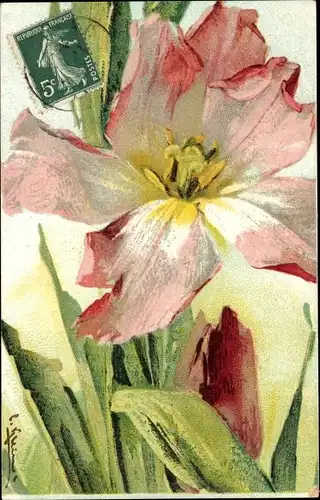 Künstler Ak Klein, C., Blühende Blume