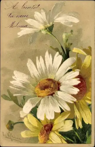 Präge Künstler Litho Klein, C., Margeriten, Blumen