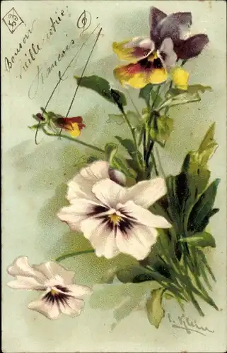 Künstler Litho Klein, C., Blumen, Stiefmütterchen