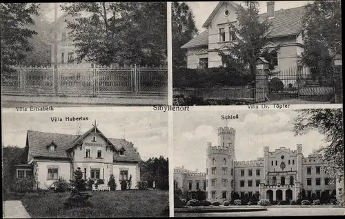 Ak Szczodre Sibyllenort Schlesien, Villa Elisabeth, Schloss, Villa Hubertus, Villa Dr. Töpfer