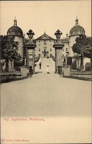 Ak Moritzburg in Sachsen, Königliches Jagdschloss