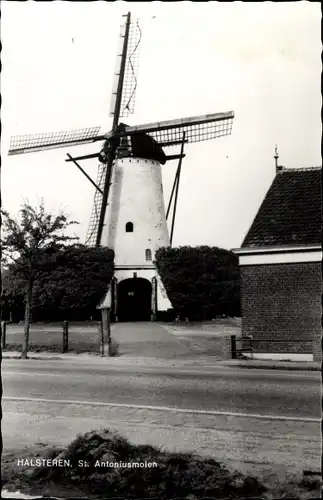 Ak Halsteren Nordbrabant, St. Antoniusmolen