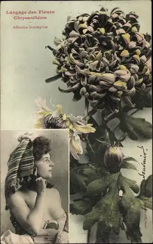 Ak Langage des Fleurs, Chrysantheme, Portrait einer Frau, Busen