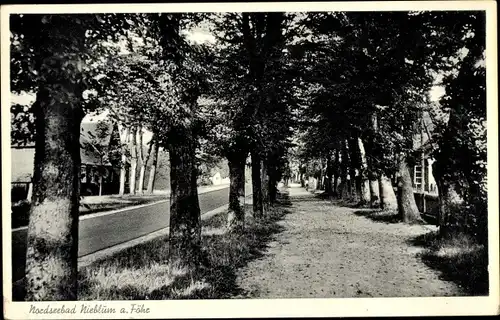 Ak Nieblum auf der Insel Föhr Nordfriesland, Blick auf eine Allee