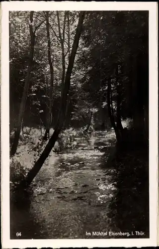 Ak Eisenberg in Thüringen, Partie im Mühltal