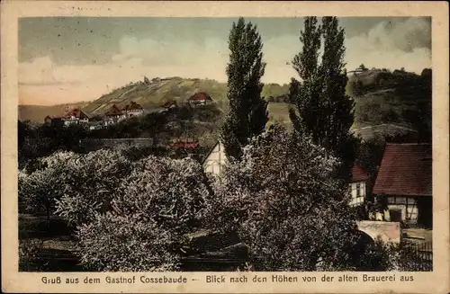 Ak Dresden Cossebaude, Gasthof, Blick nach den Höhen von der alten Brauerei aus