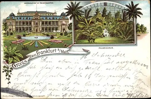 Vorläufer Litho Frankfurt am Main, Restauration im Palmengarten, Gartenpartie, Teich, Palmenhaus