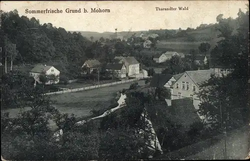 Ak Grund Mohorn Wilsdruff Sachsen, Tharandter Wald, Panorama