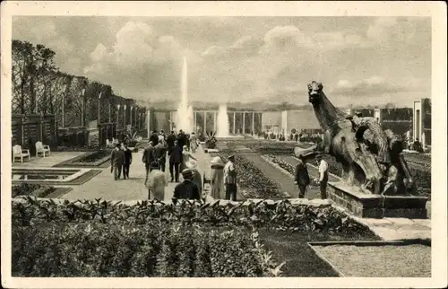 Ak Essen im Ruhrgebiet, Gruga 1929, Sommerblumenterrassen