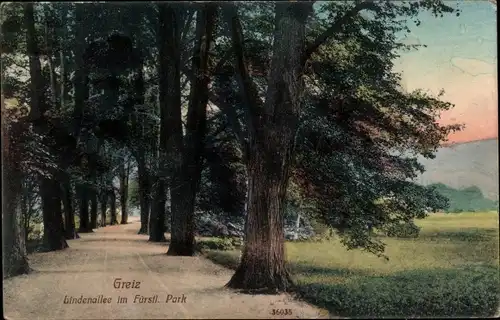 Ak Greiz im Vogtland, Lindenallee im Fürstl. Park