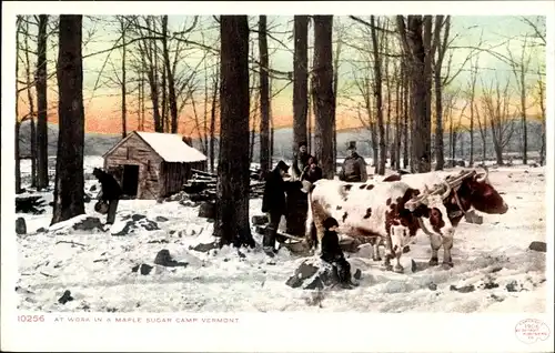 Ak Vermont USA, At work in a Maple Sugar Camp