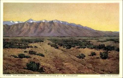 Ak Arizona USA, The Desert