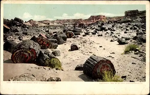 Ak Adamana Arizona USA, Petrified Forest