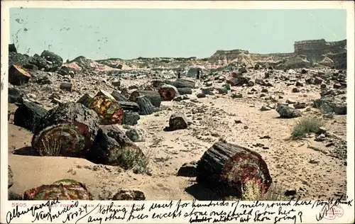 Ak Adamana Arizona USA, Petrified Forest