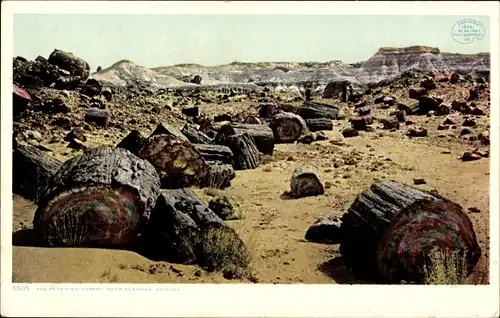 Ak Adamana Arizona USA, Petrified Forest