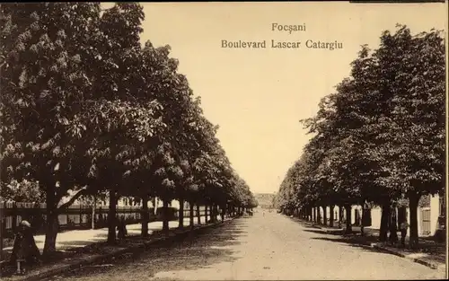 Ak Focșani Facsani Fokschan Rumänien, Boulevard Lascar Catarglu