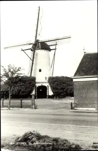 Ak Halsteren Nordbrabant, St. Antoniusmolen, Windmühle