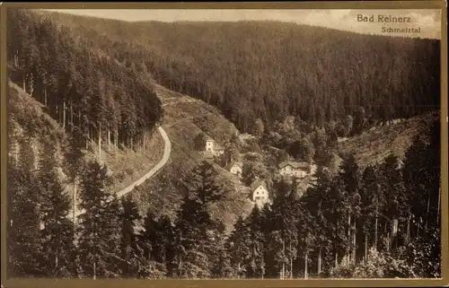 Ak Duszniki Zdrój Bad Reinerz Schlesien, Schmelztal, Wald