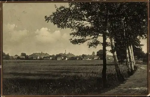 Ak Arnsdorf in Sachsen, Am Teichweg, Ortspanorama