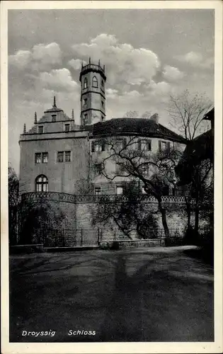 Ak Droyßig im Burgenlandkreis, Schloss