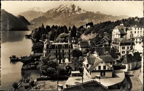 Ak Weggis Kanton Luzern, Teilansicht mit Pilatus