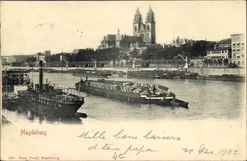 Ak Magdeburg an der Elbe, Panorama, Schiffe